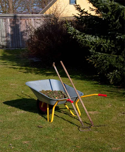 Limpeza de Terreno