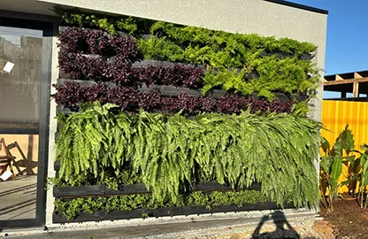 Manutenção de Jardim de Empresa