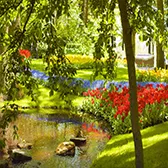 Manutenção de Jardim de Condomínios