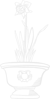 Manutenção de Jardim de Condomínios