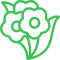 Reposição de Mudas e Flores de Jardim
